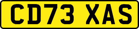 CD73XAS