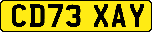 CD73XAY