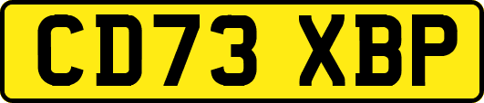 CD73XBP