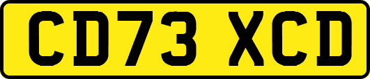 CD73XCD