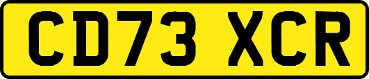 CD73XCR