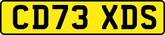 CD73XDS