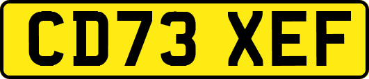 CD73XEF