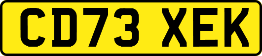 CD73XEK