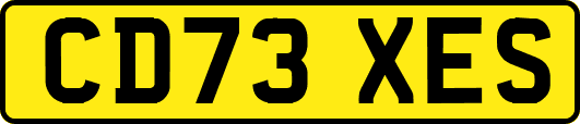 CD73XES