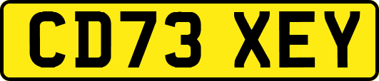 CD73XEY