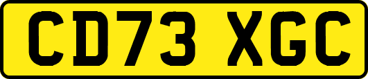 CD73XGC