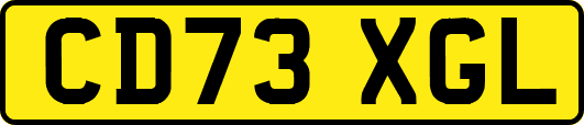 CD73XGL