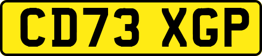 CD73XGP