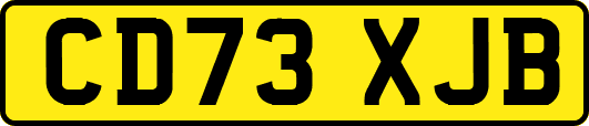 CD73XJB