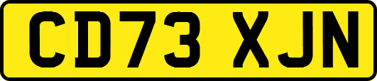 CD73XJN