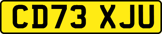 CD73XJU