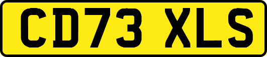 CD73XLS