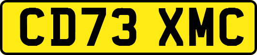 CD73XMC