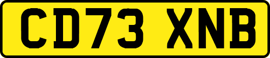 CD73XNB