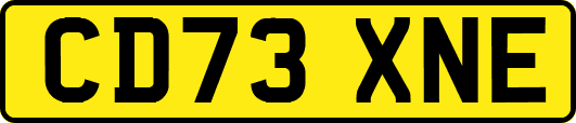 CD73XNE
