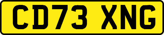 CD73XNG