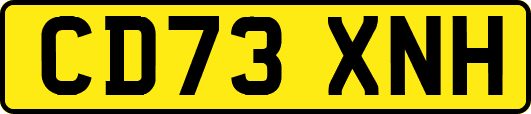 CD73XNH