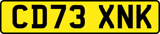 CD73XNK