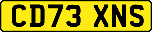 CD73XNS