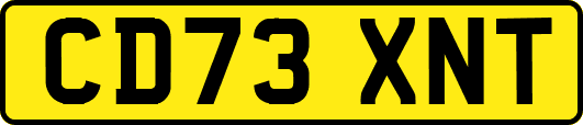 CD73XNT