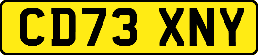 CD73XNY