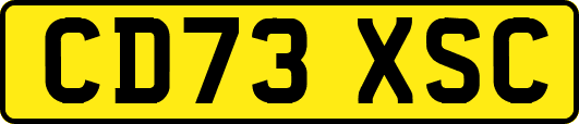 CD73XSC