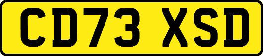CD73XSD