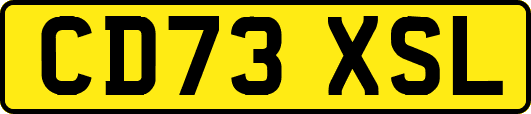 CD73XSL