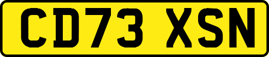 CD73XSN