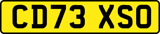 CD73XSO