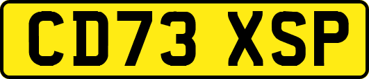 CD73XSP