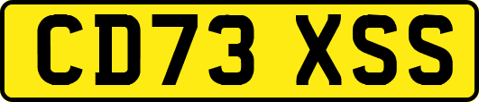 CD73XSS