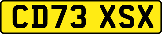 CD73XSX