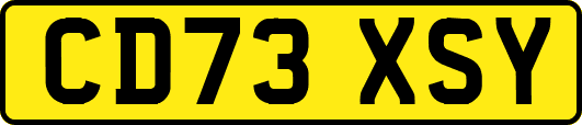 CD73XSY
