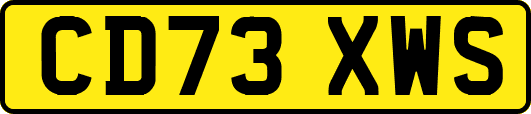 CD73XWS