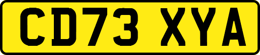 CD73XYA
