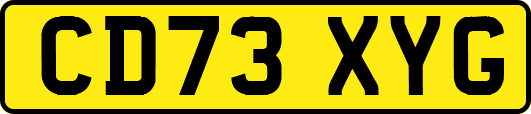 CD73XYG
