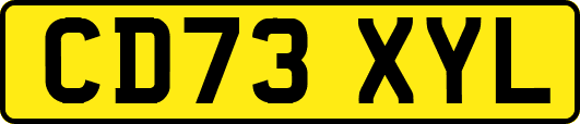 CD73XYL