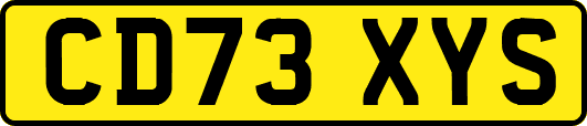 CD73XYS