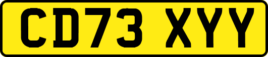 CD73XYY