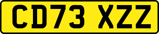 CD73XZZ