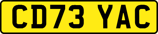 CD73YAC