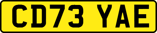 CD73YAE