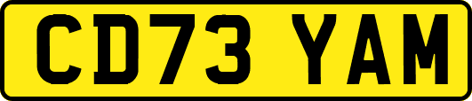 CD73YAM