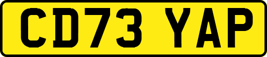CD73YAP