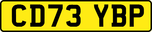 CD73YBP