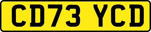 CD73YCD