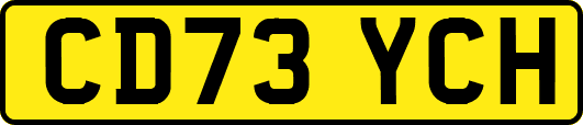 CD73YCH