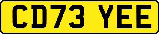 CD73YEE